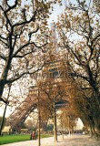 paris19